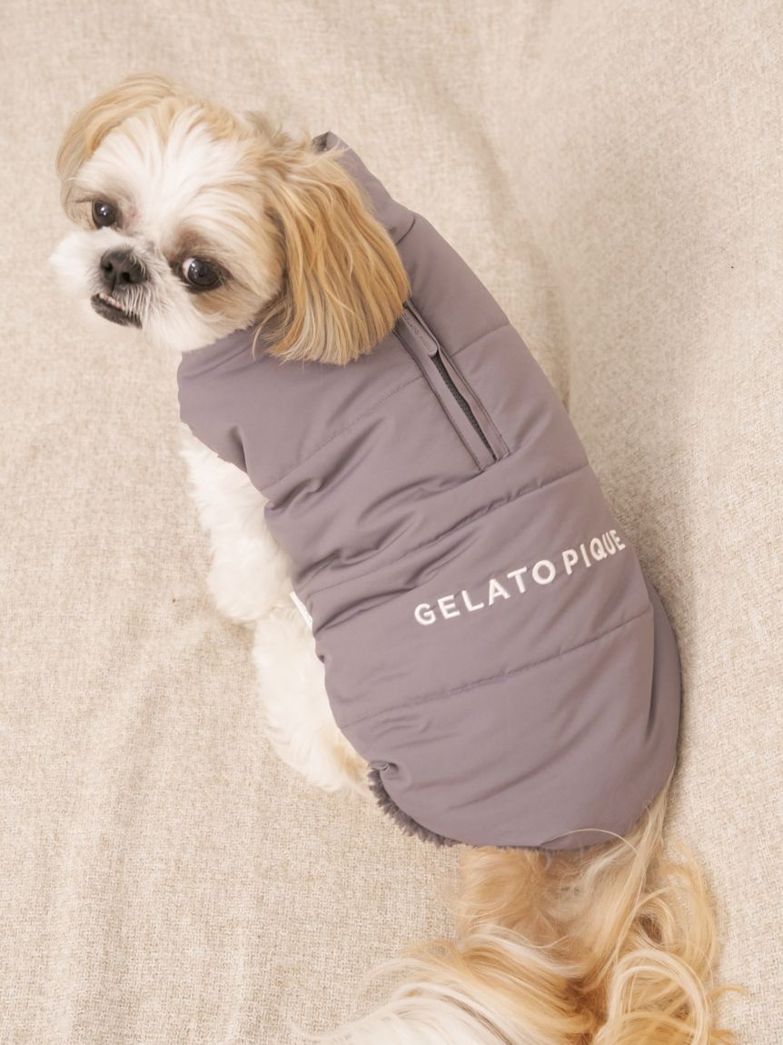 完売品MサイズCGRY新品未使用GELATO PIQUE 犬用ダウンジャケット 楽天