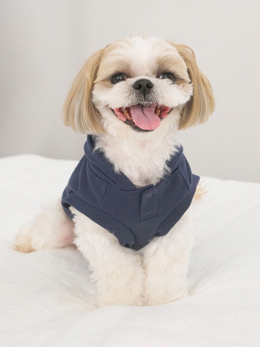 CAT&DOG】スポーティーベア裏毛プルオーバー(ウェア)｜ルームウェア