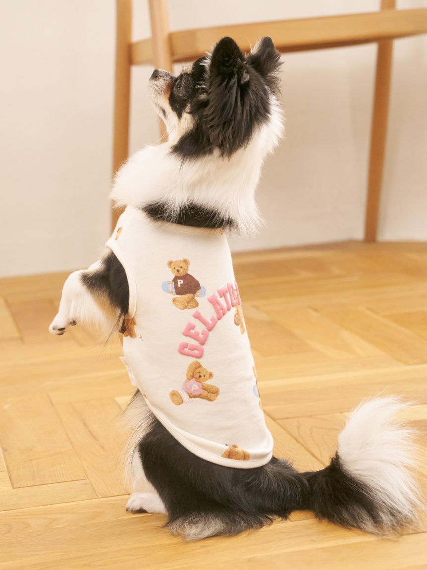 CAT&DOG】スポーティーベア柄カットソープルオーバー(ウェア