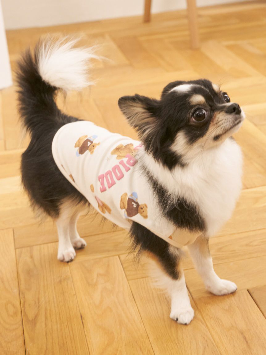 ジェラートピケ シュタイフ Jimmyパーカ＆ショートパンツ　くま　ベア ジェラートピケ gelato pique 【Steiff】Jimmyパーカ＆ショート