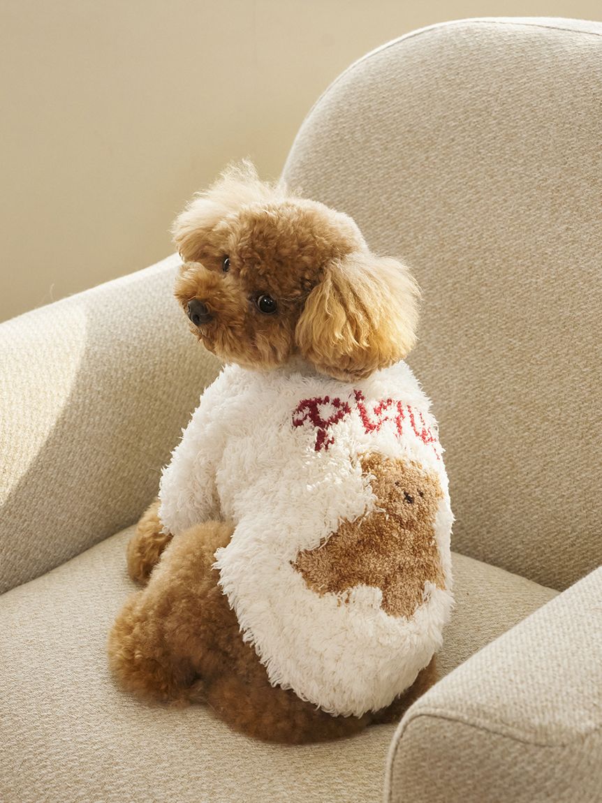 HOLIDAY】【CAT&DOG】ジェラートスノーベアジャガードプルオーバー