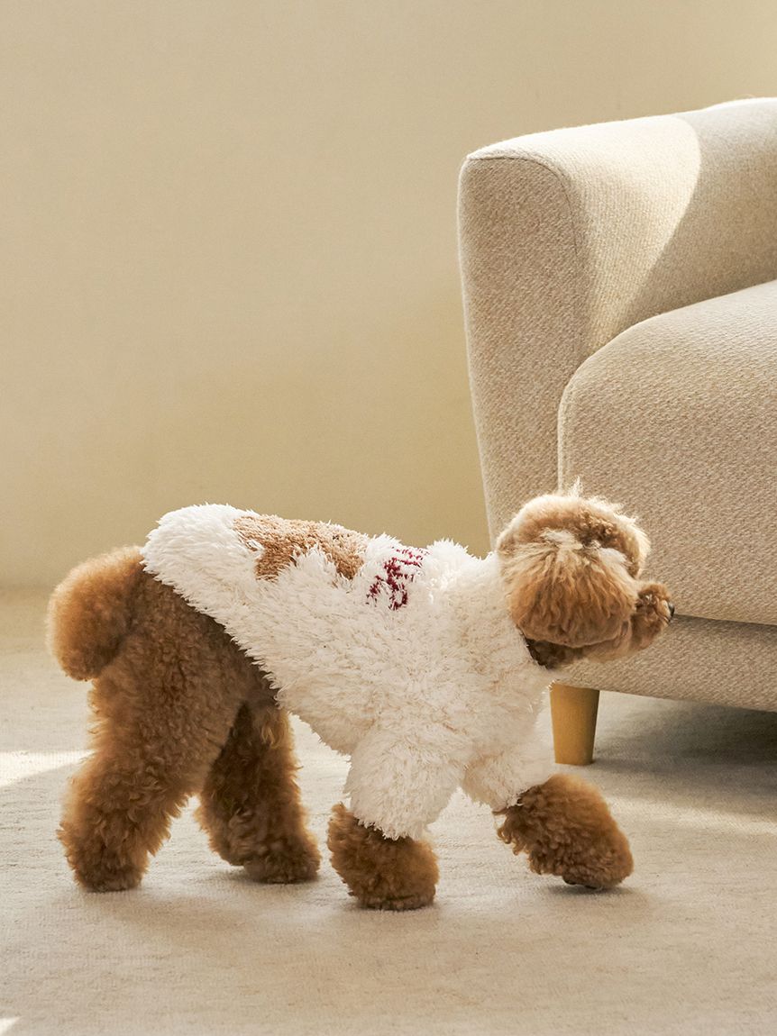 HOLIDAY】【CAT&DOG】ジェラートスノーベアジャガードプルオーバー