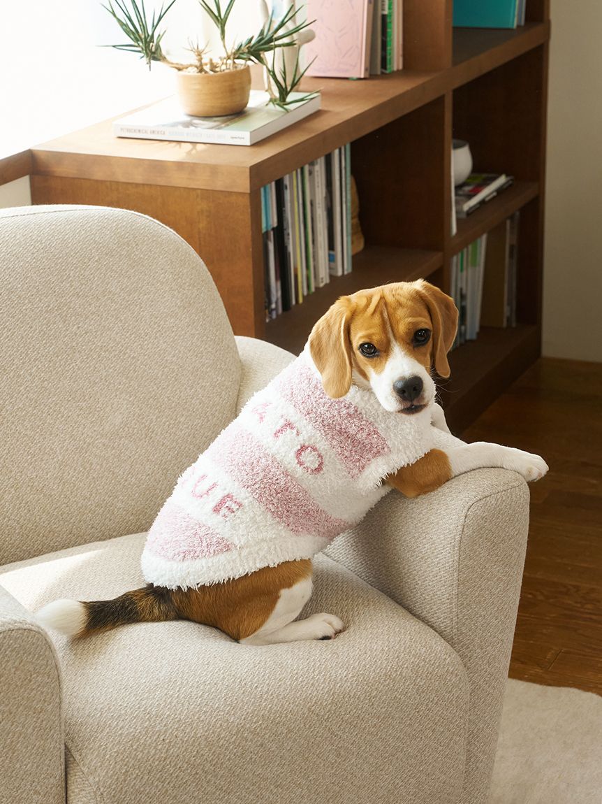 ジェラートピケ パウダーメランジボーダープルオーバー モカ セット gelato pique（ジェラートピケ）の「【HOMME】パウダーメランジ