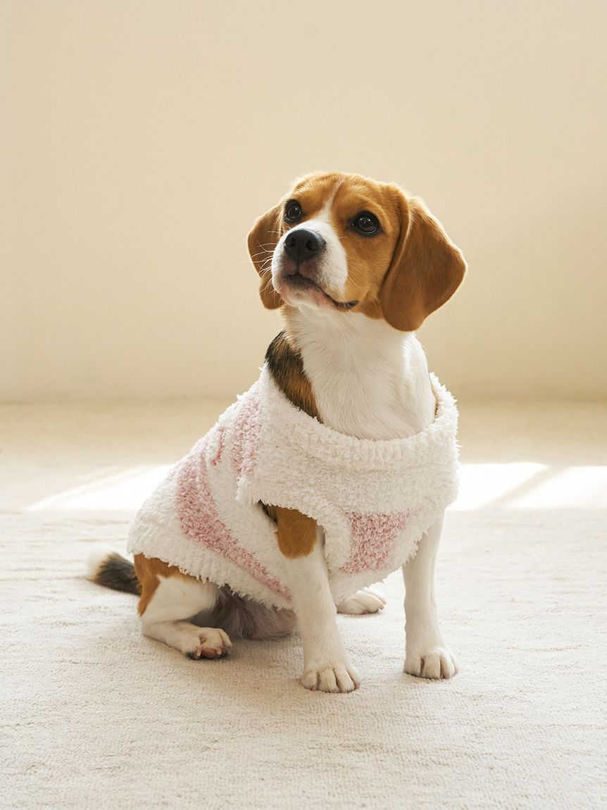 CAT&DOG】ラージサイズジェラートメランジ2ボーダープルオーバー