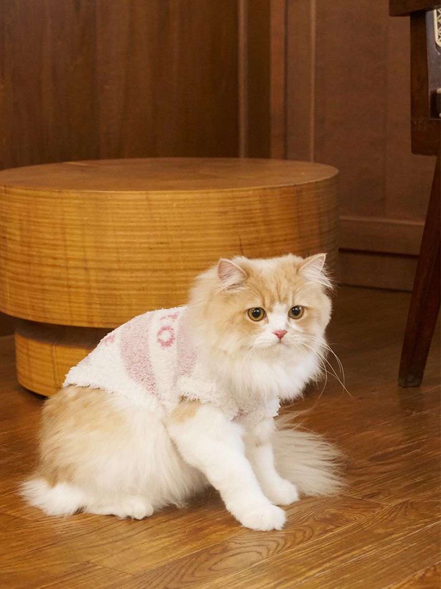 CAT&DOG】ジェラートメランジ2ボーダープルオーバー(ウェア)｜ルーム