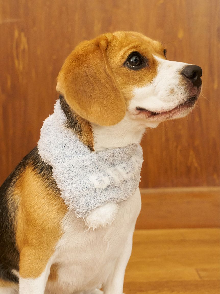 CAT&DOG】ジェラートメランジマフラー(グッズ)｜ルームウェア