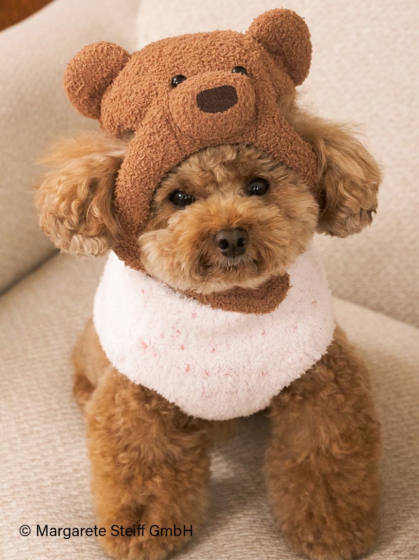 Steiff】【CAT&DOG】ハイネックプルオーバー(ウェア)｜ルームウェア