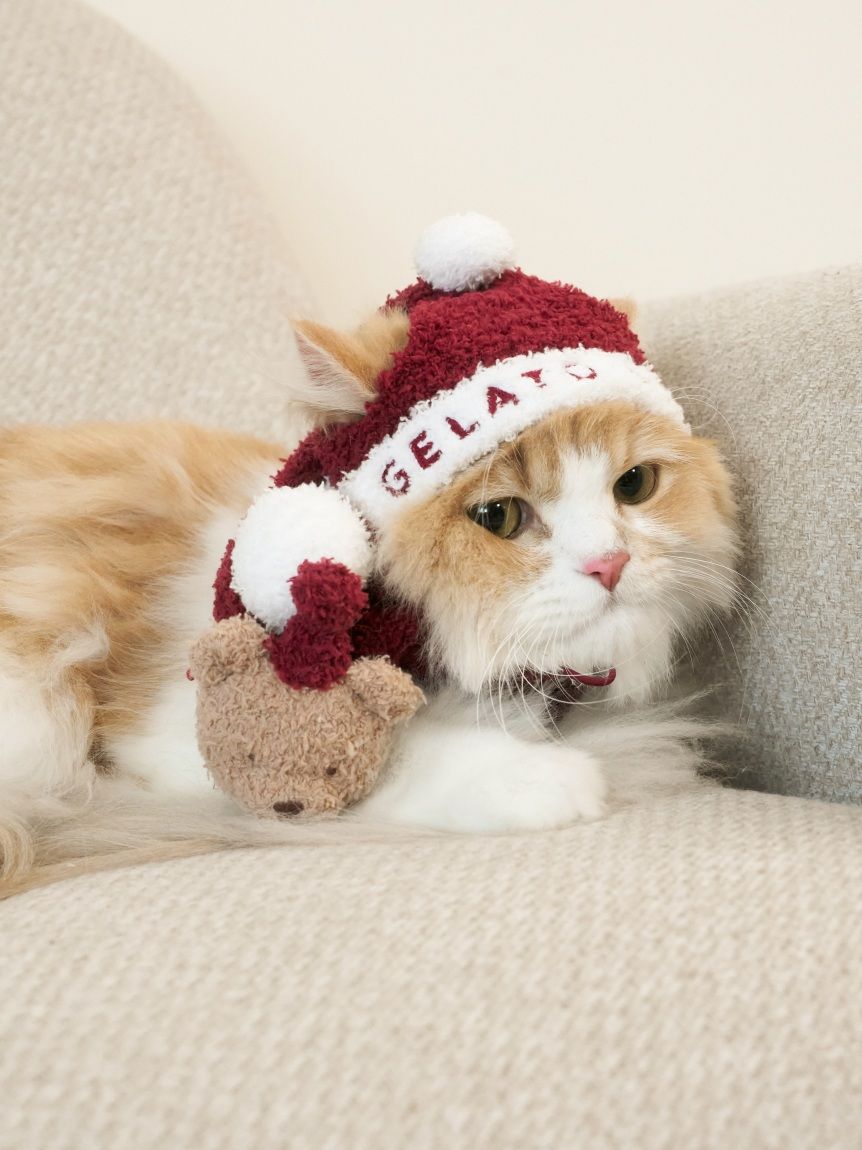 くまこ Mickey Chokkorisan mini Plush Doll Disney Japan Takara Tomy