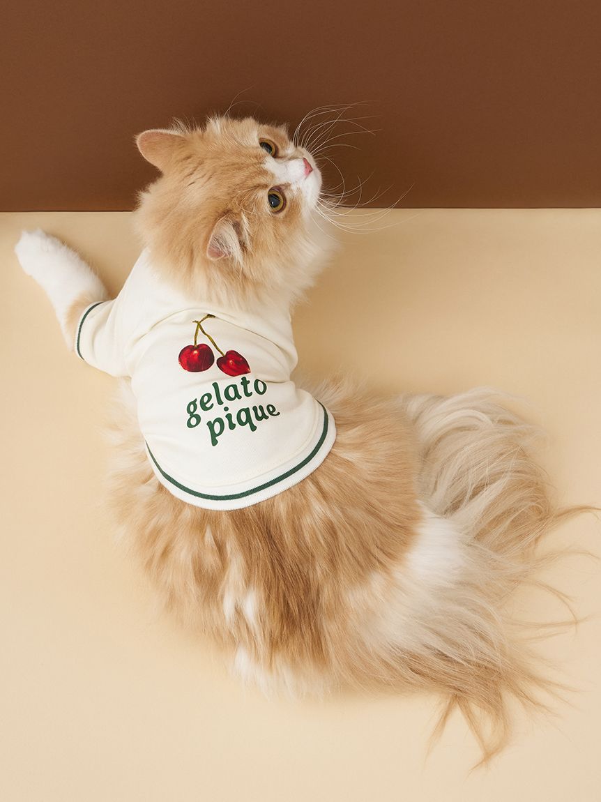 ジェラートピケ チェリー柄プルオーバー ジェラートピケ CAT&DOG チェリー柄裏毛プルオーバー ジェラピケ