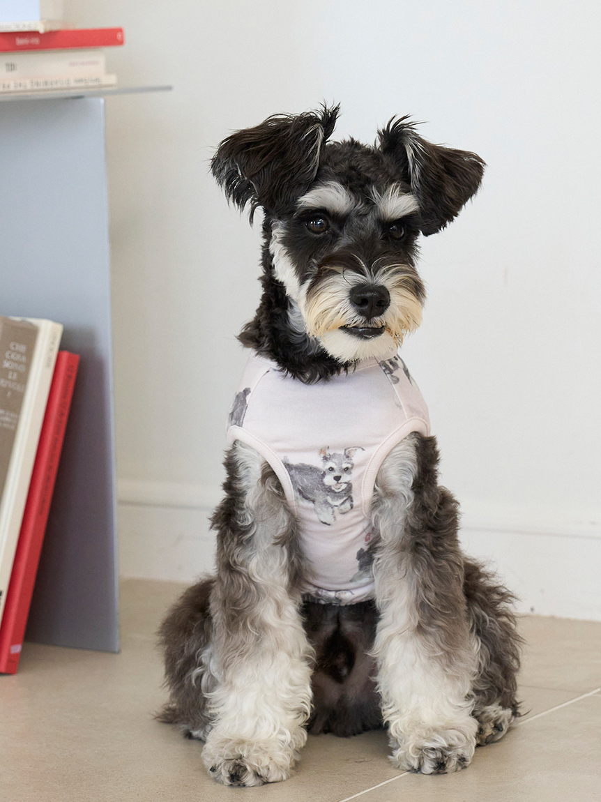 CAT&DOG】シュナウザー柄カットソープルオーバー(ウェア)｜ルーム