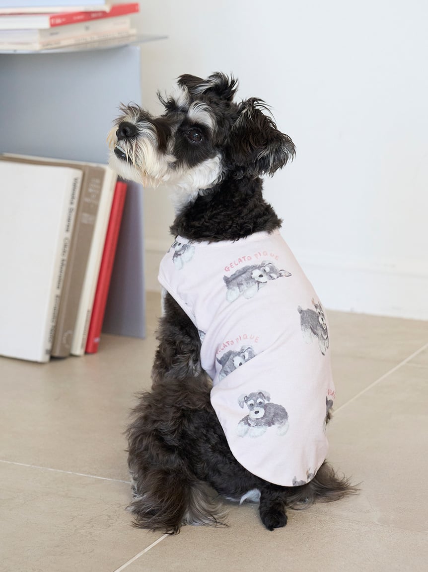 ジェラートピケ【CAT&DOG】シュナウザー柄カットソープルオーバー CAT&DOG】シュナウザー柄カットソープルオーバー(ウェア