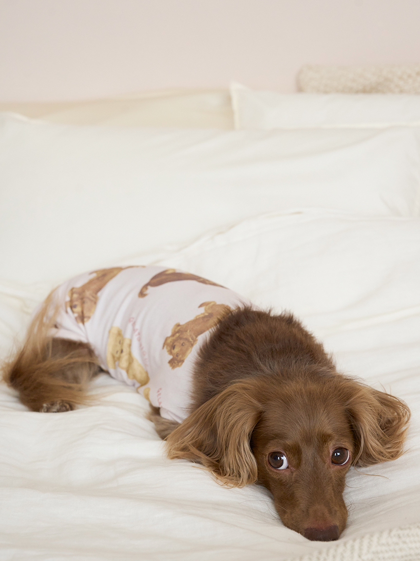 【専用】正規品♡新品 ジェラートピケ ダックスフントジャガードブランケット ジェラートピケ ダックスフントジャガードブランケット - メルカリ