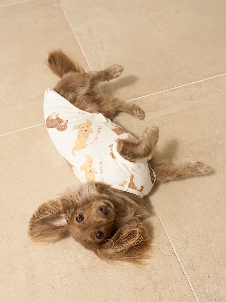 正規品♡DOG柄プルオーバー＆ロングパンツ♡ダックス 正規品♡DOG柄