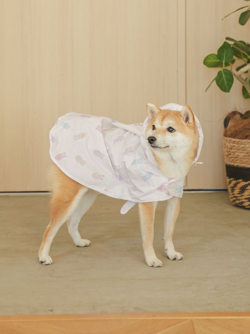 【CAT&DOG】ラージサイズレインポンチョ | PAGG259036