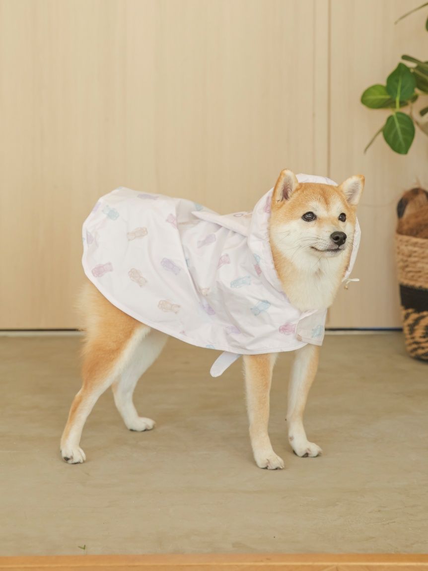 【CAT&DOG】ラージサイズレインポンチョ | PAGG259036