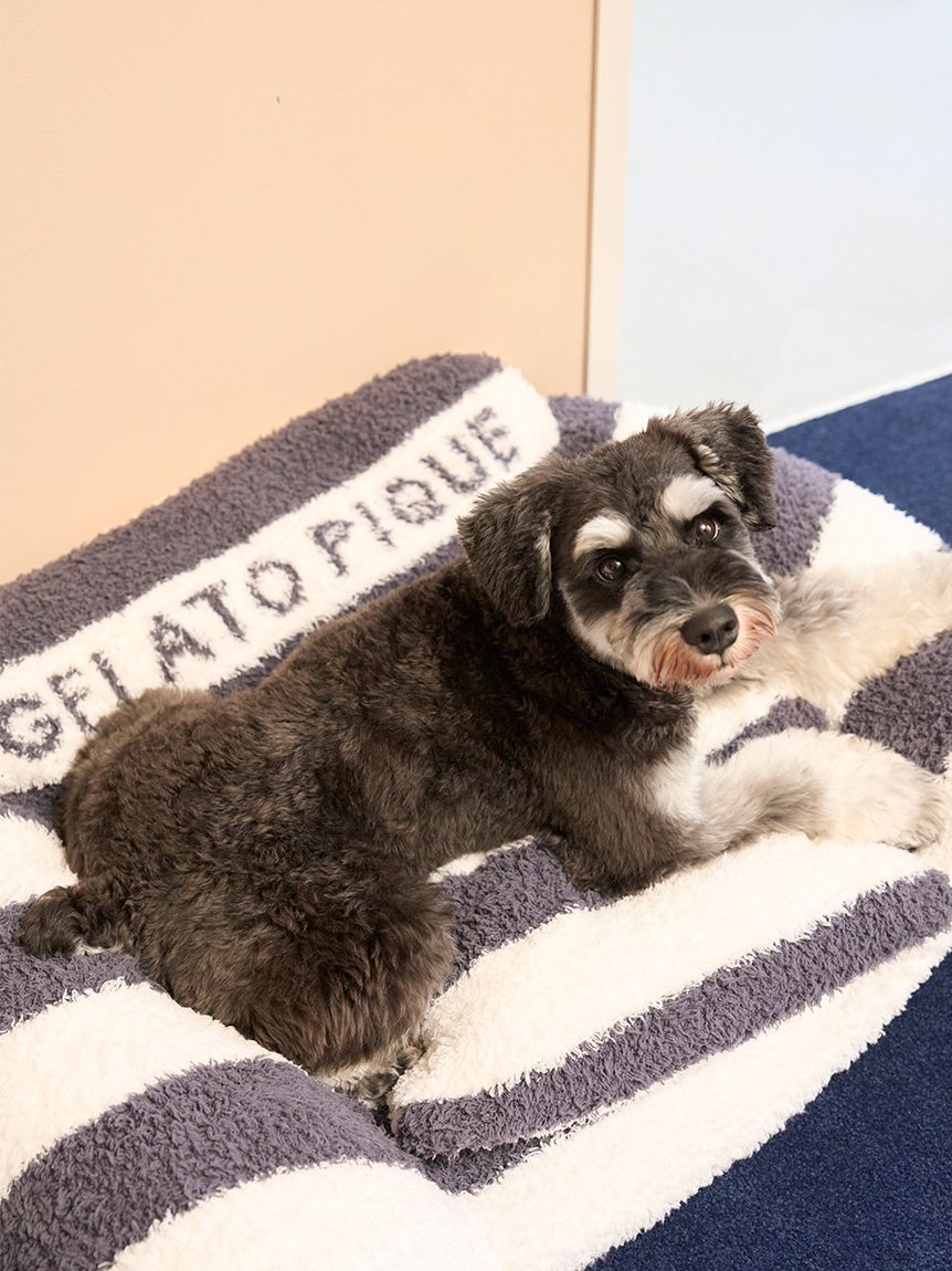 CAT&DOG】ジェラートソファ型ベッドL(ベッド・ハウス)｜ルームウェア