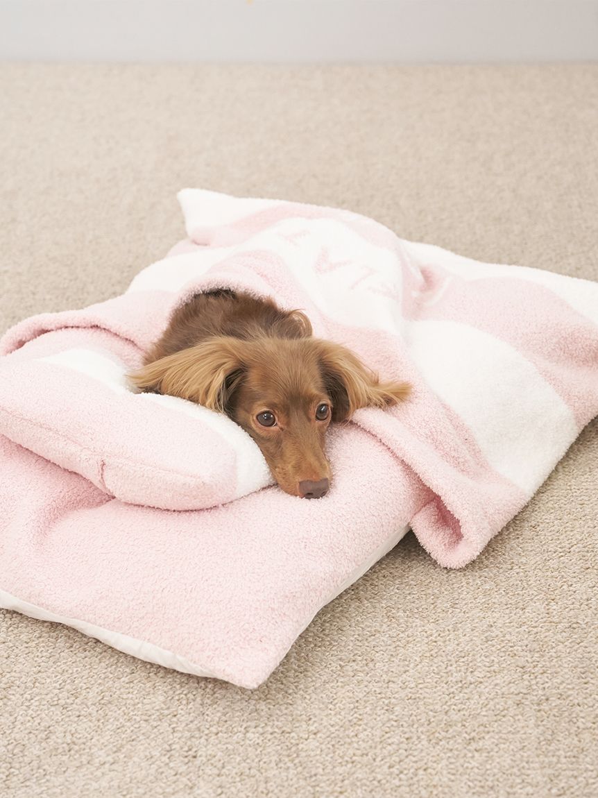 ひ*）様 アンティーク 子犬 紗“お外デビューするパピーにメロメロ！”夏なごや帯 ひ*）様 アンティーク 子犬 紗“お外デビューするパピーにメロメロ！”夏