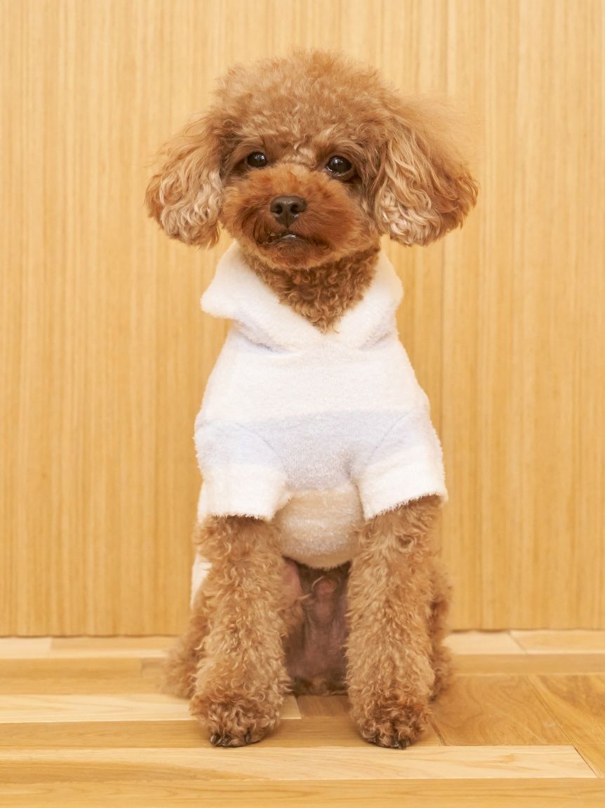 CAT&DOG】スムーズィー2ボーダーフーディー(ウェア)｜ルームウェア