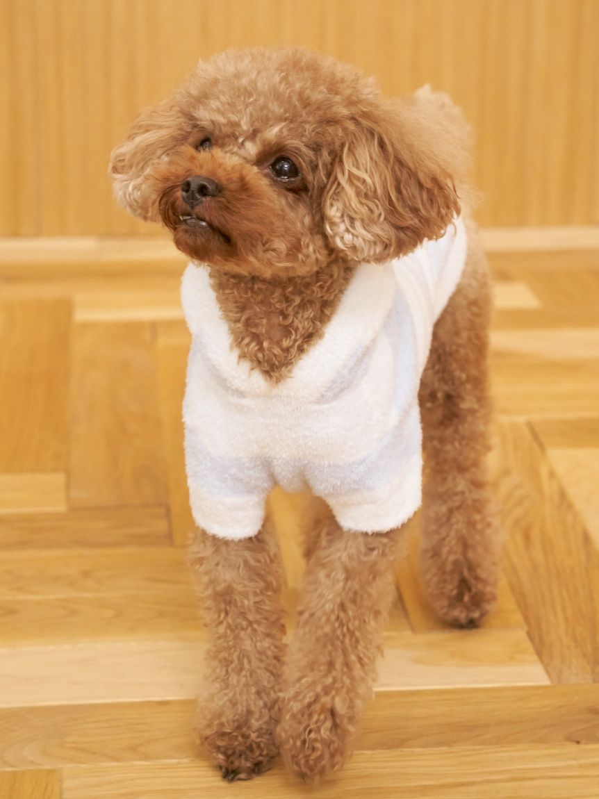 CAT&DOG】スムーズィー2ボーダーフーディー(ウェア)｜ルームウェア