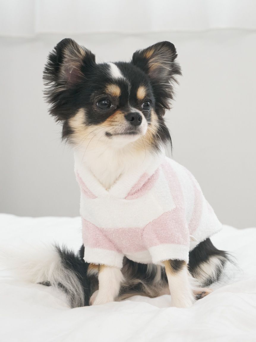 CAT&DOG】スムーズィー2ボーダーフーディー(ウェア)｜ルームウェア