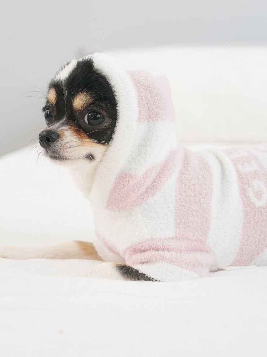 CAT&DOG】スムーズィー2ボーダーフーディー(ウェア)｜ルーム