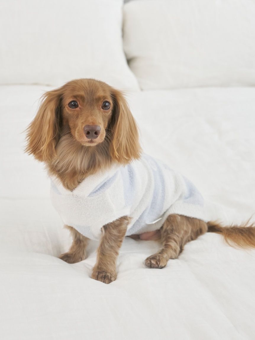 CAT&DOG】スムーズィーダックスサイズ2ボーダーフーディー(ウェア