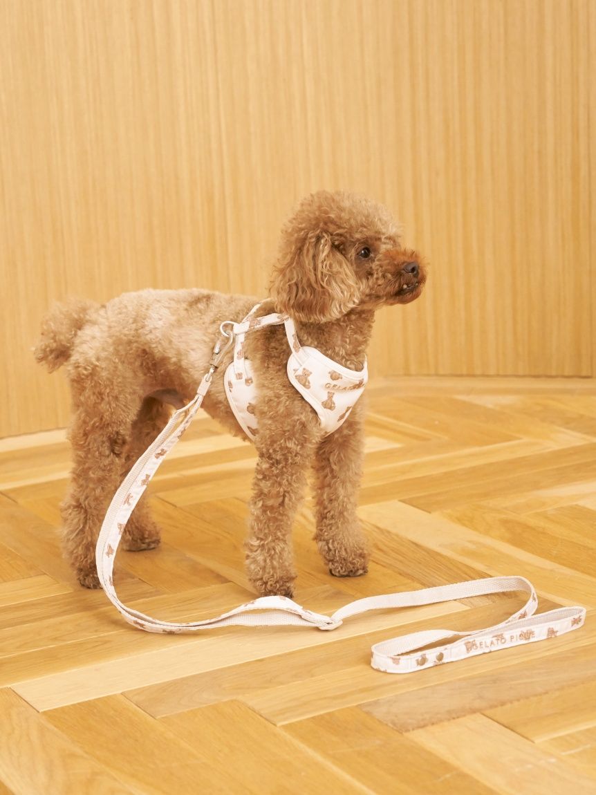 CAT&DOG】背中あきハーネス(ハーネス・リード)｜ルームウェア