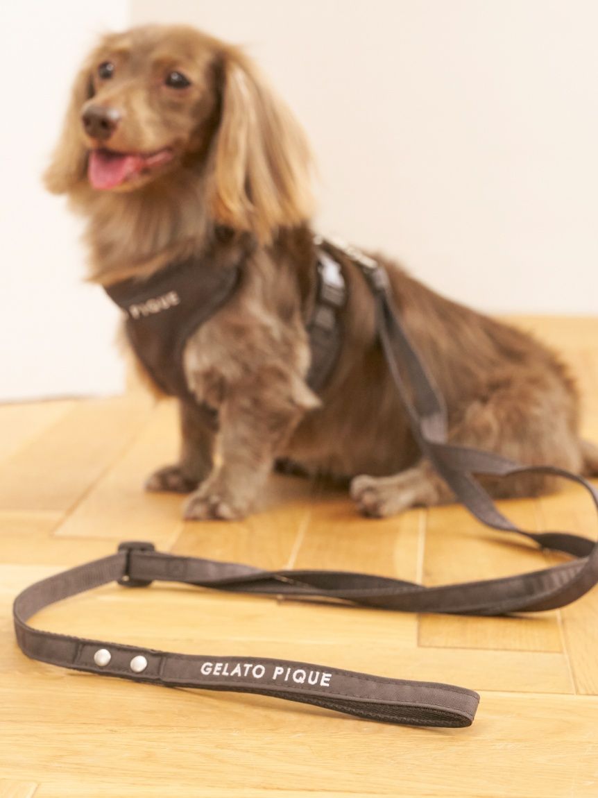 CAT&DOG】背中あきハーネス(ハーネス・リード)｜ルームウェア