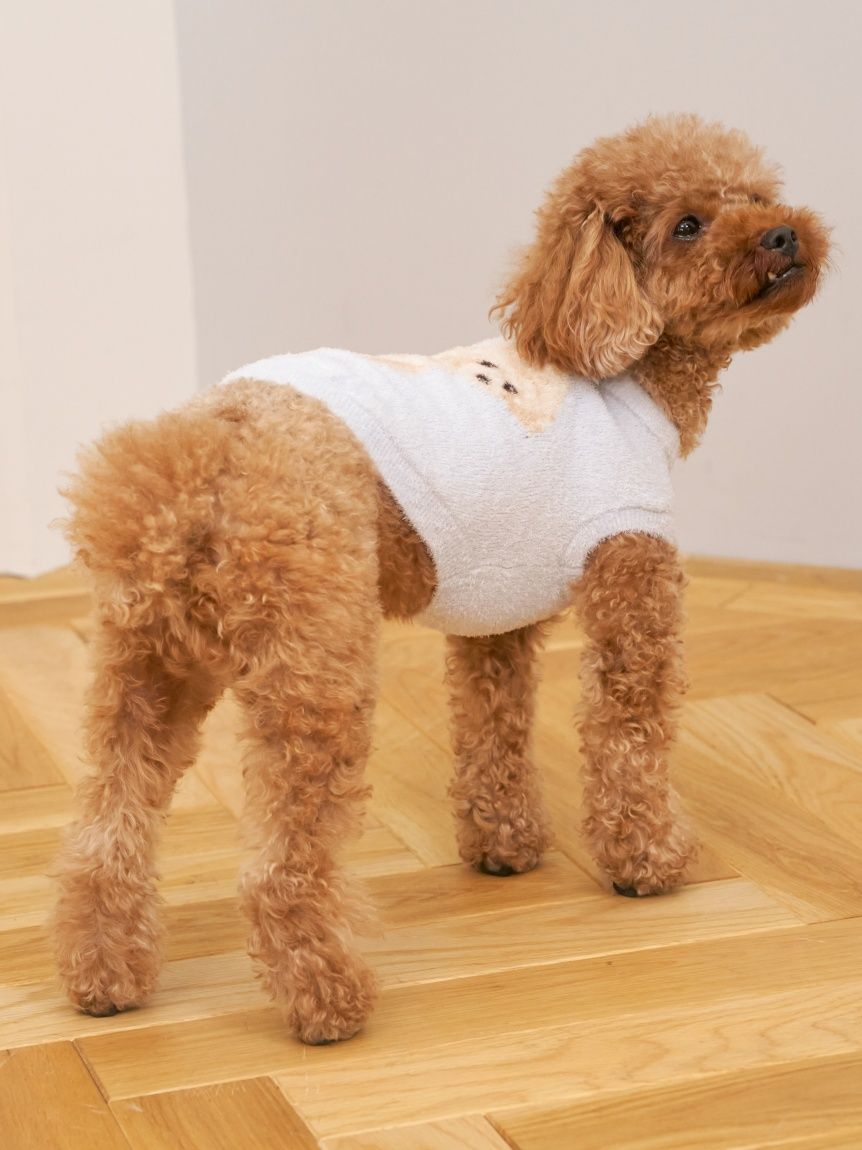 ジェラートピケ トイプードルジャガードプルオーバー& ショートパンツ ジェラートピケ トイプードルジャガードプルオーバー CAT&DOG