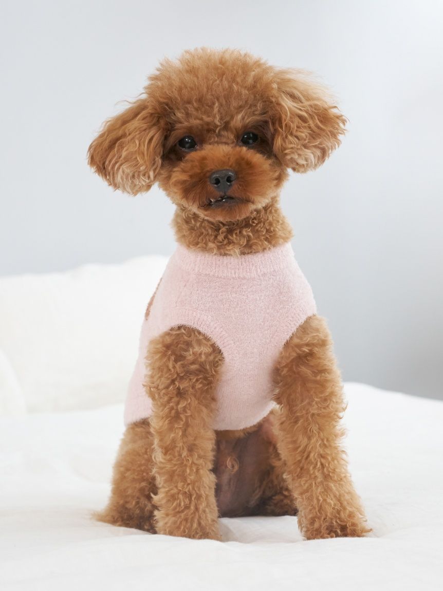 CAT&DOG】スムーズィートイプードル柄ジャガードプルオーバー(ウェア