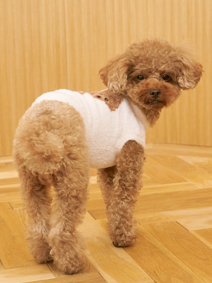 CAT&DOG】スムーズィートイプードル柄ジャガードプルオーバー(ウェア