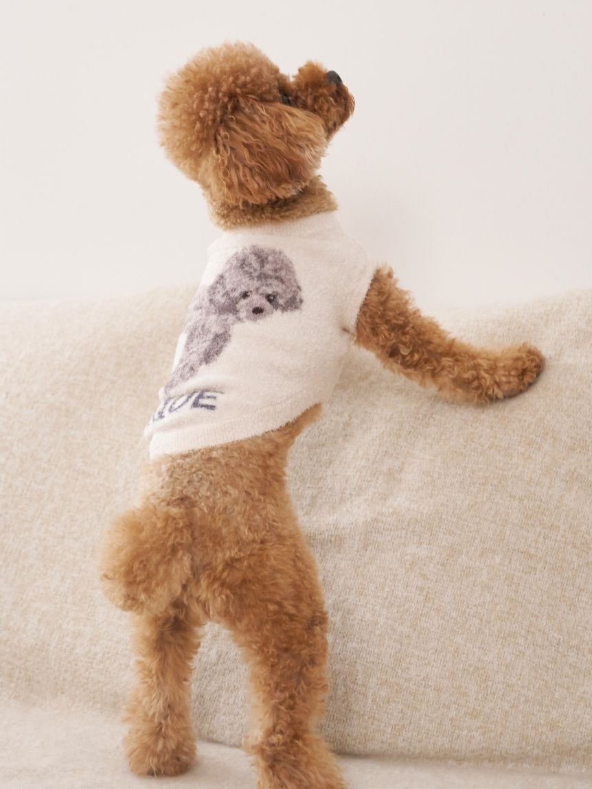ジェラートピケ トイプードル ジャガードプルオーバー 上下セット gelato pique（ジェラートピケ）【CAT&DOG】【販路限定商品