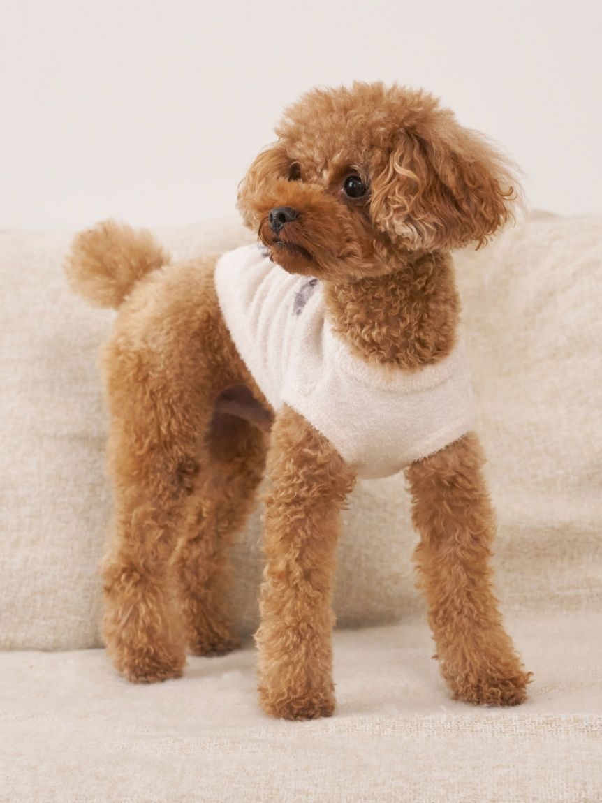 ジェラートピケ トイプードル柄ロングパンツ+トイプードルジャガードプルオーバー ジェラートピケ】 トイプードル ジャガードプルオーバー＆ロング