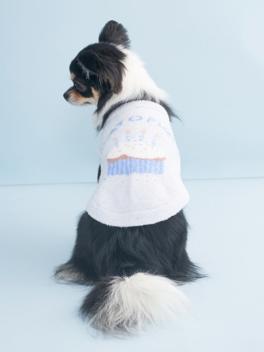 CAT&DOG】【Birthday】スムーズィーカップケーキジャガードプル