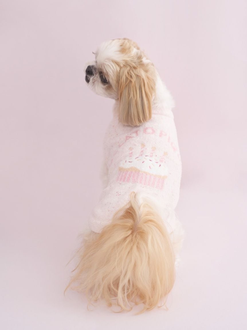 新品タグ付き　ジェラートピケ ジャガードプルオーバー+レギンス カップケーキ CAT&DOG】【Birthday】スムーズィーカップケーキジャガードプル