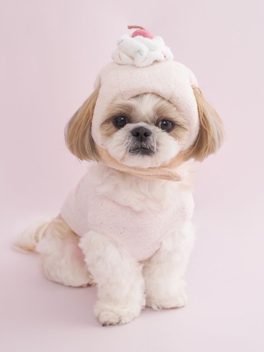 CAT&DOG】【Birthday】スムーズィーカップケーキジャガードプル
