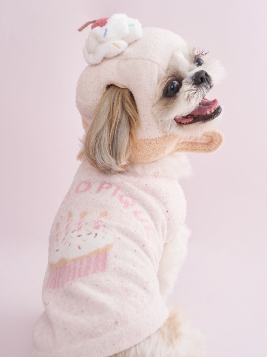 新品タグ付き　ジェラートピケ ジャガードプルオーバー+レギンス カップケーキ CAT&DOG】【Birthday】スムーズィーカップケーキジャガードプル