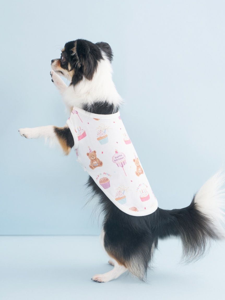 CAT&DOG】【Birthday】バースデー柄プルオーバー(ウェア