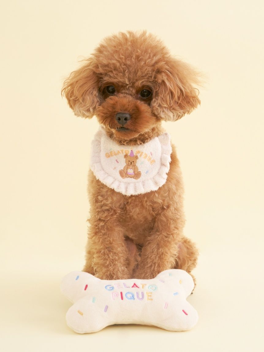 CAT&DOG】【Birthday】ボーントイ(グッズ)｜ルームウェア