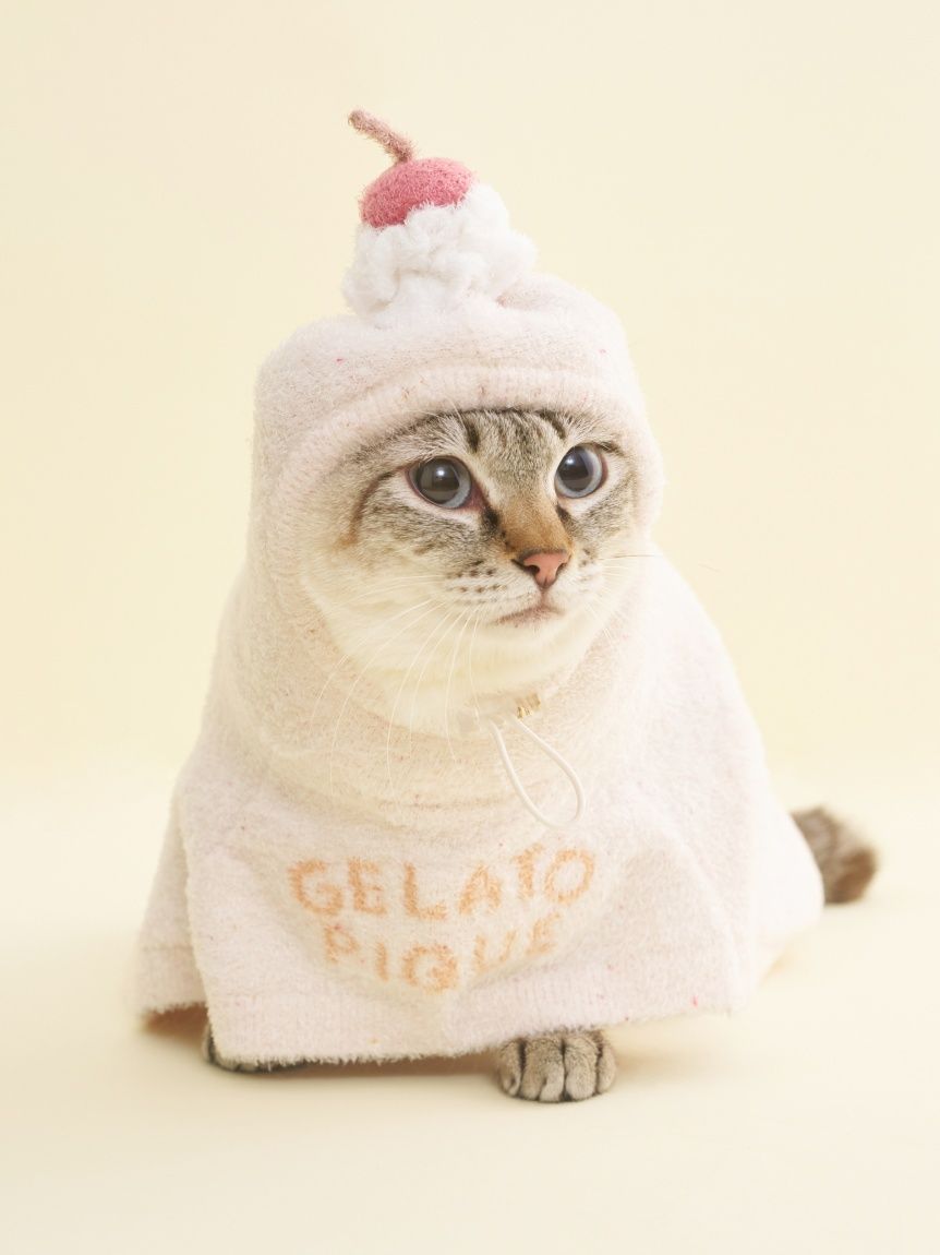 ジェラートピケ gelato pique(ジェラート ピケ)】世界中で愛されている「セサミ