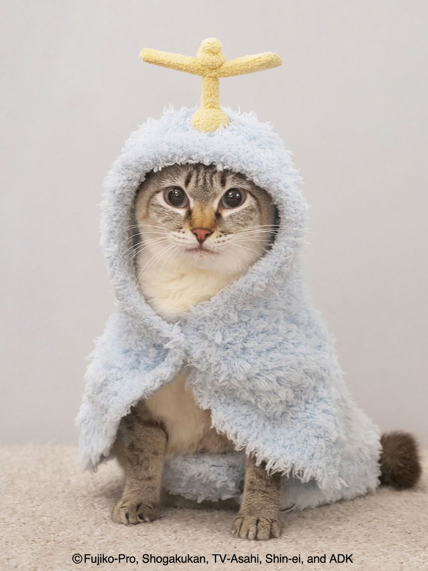 ドラえもん】【CAT&DOG】ジェラートケープ(ウェア)｜ルームウェア
