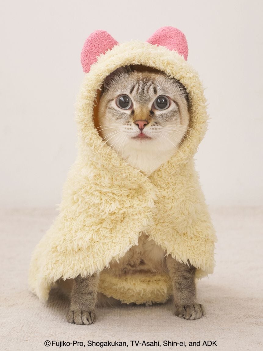 ジェラートピケ ガウン ソックス ねこ ジェラートピケ ガウン ソックス ねこ