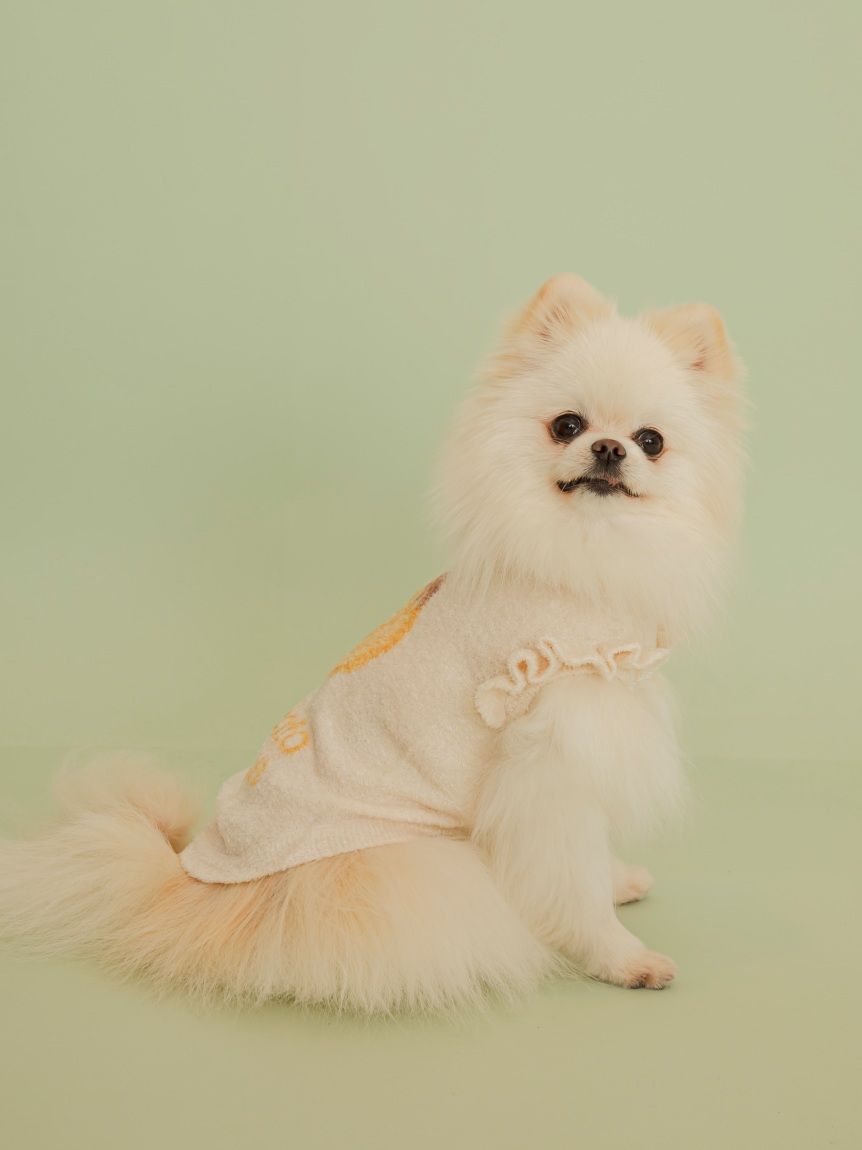 CAT&DOG】フルーツジャガードプルオーバー(ウェア)｜ルームウェア