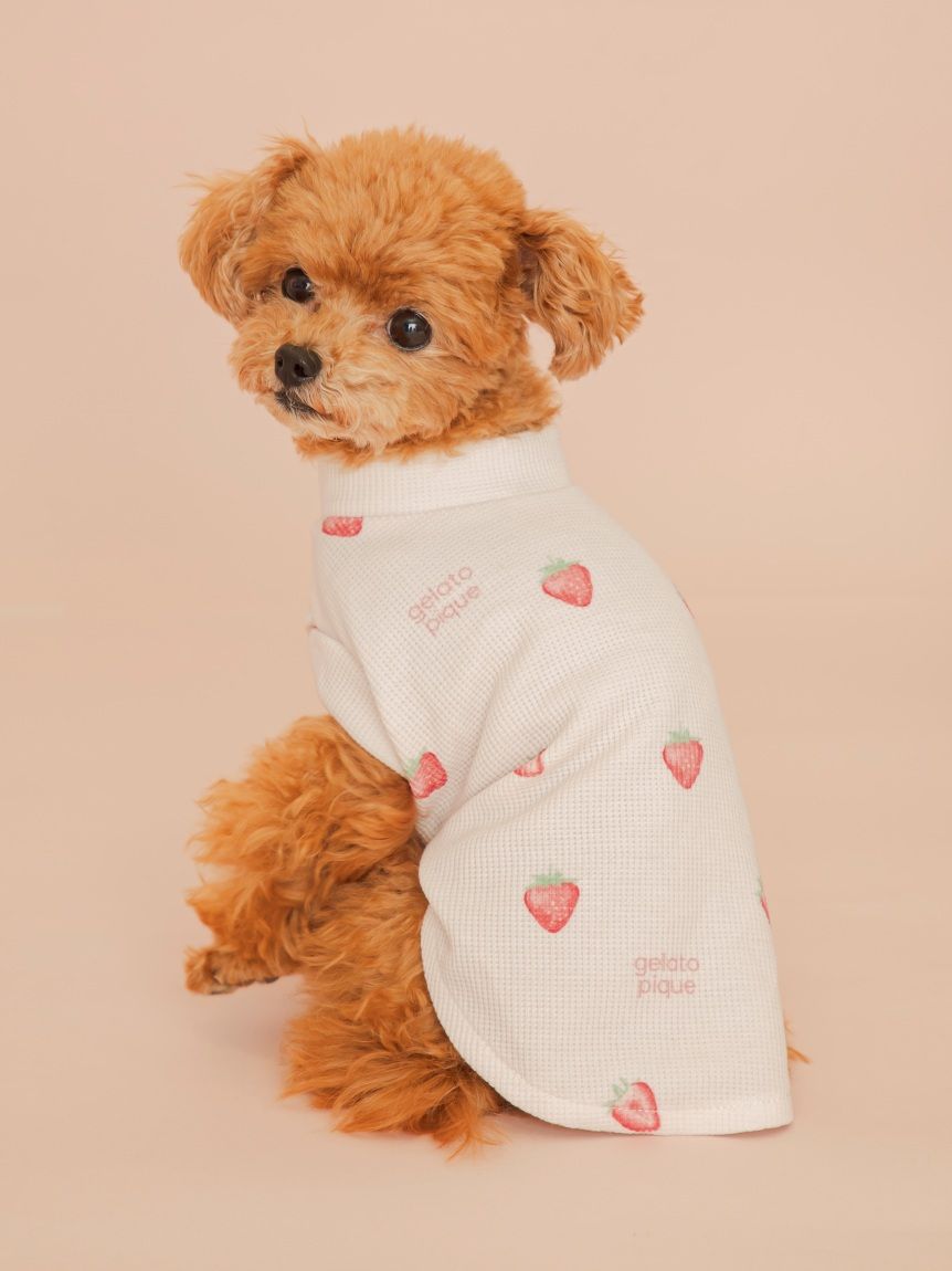 CAT&DOG】フルーツ柄ワッフルカットソープルオーバー(ウェア)｜ルーム