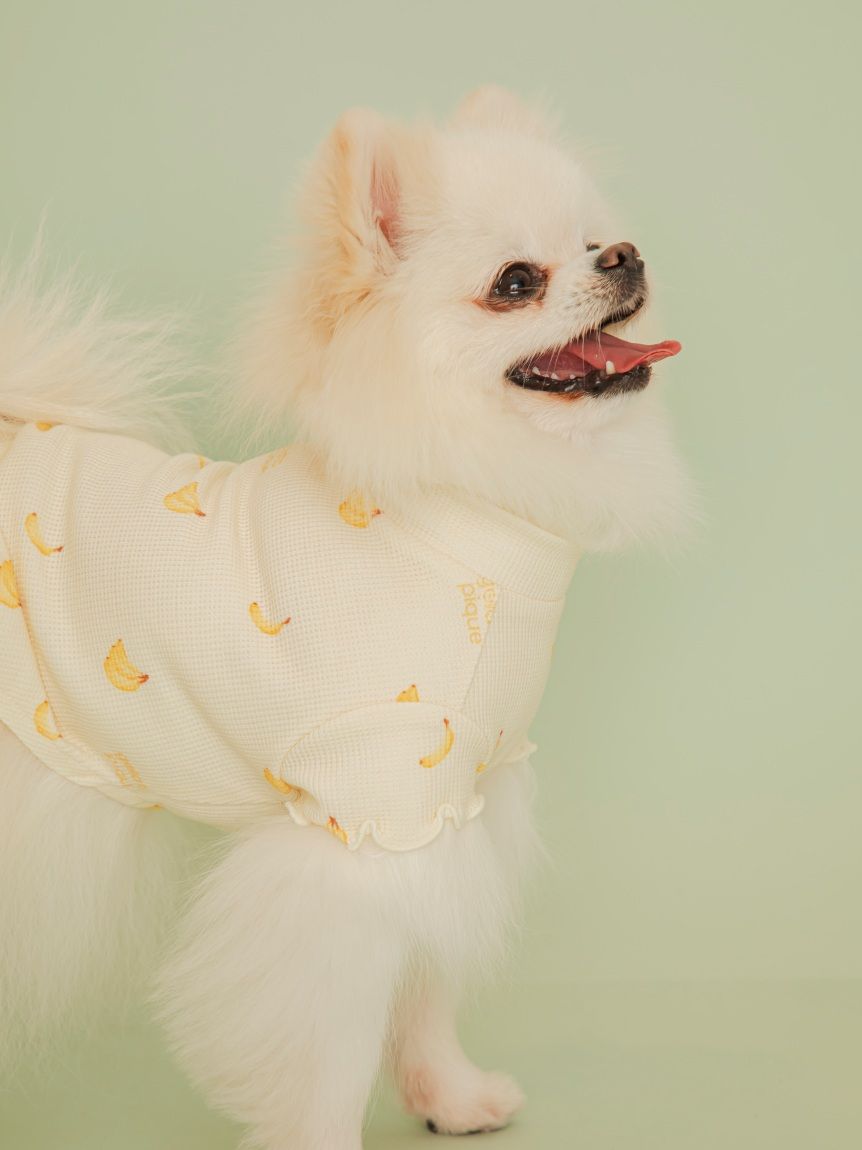 ジェラートピケ　【CAT&DOG】フルーツ柄ワッフルカットソープルオーバー① CAT&DOG】フルーツ柄ワッフルカットソープルオーバー(ウェア)｜ルーム