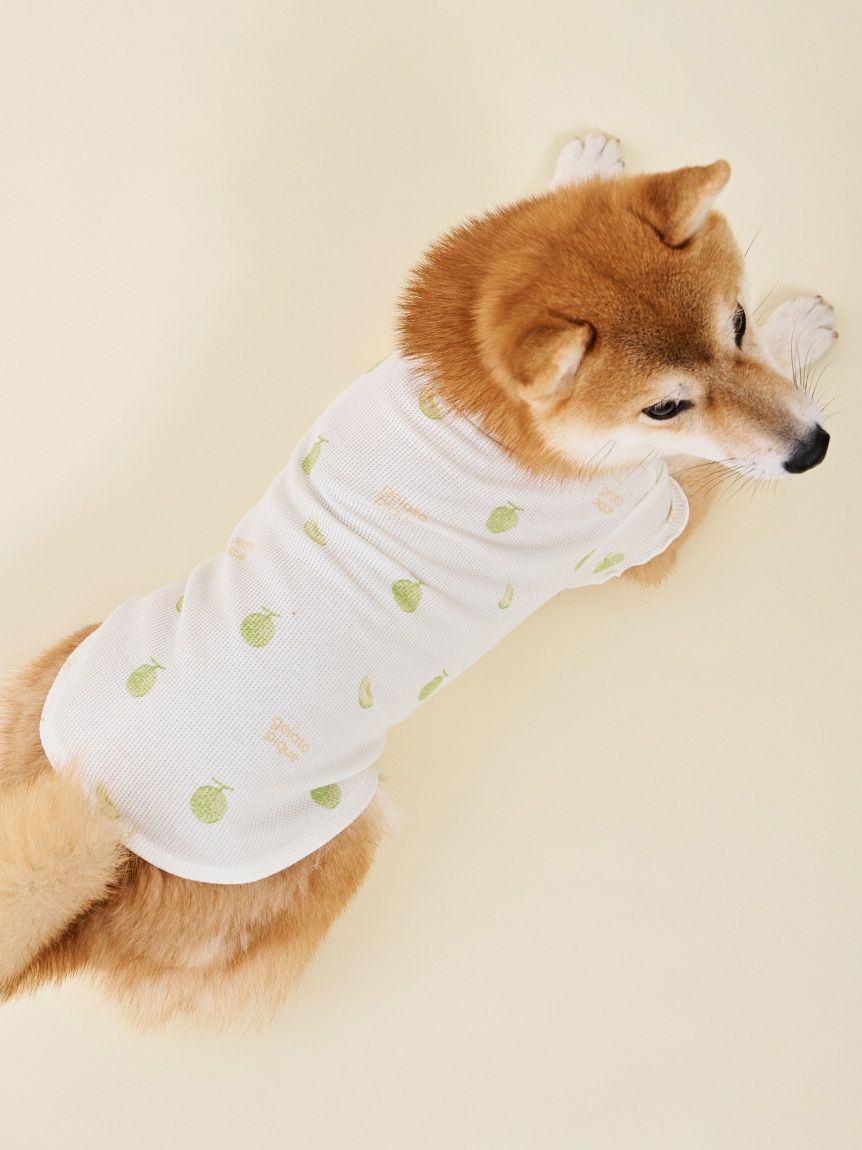 ジェラートピケ　【CAT&DOG】フルーツ柄ワッフルカットソープルオーバー① CAT&DOG】フルーツ柄ワッフルカットソープルオーバー(ウェア)｜ルーム