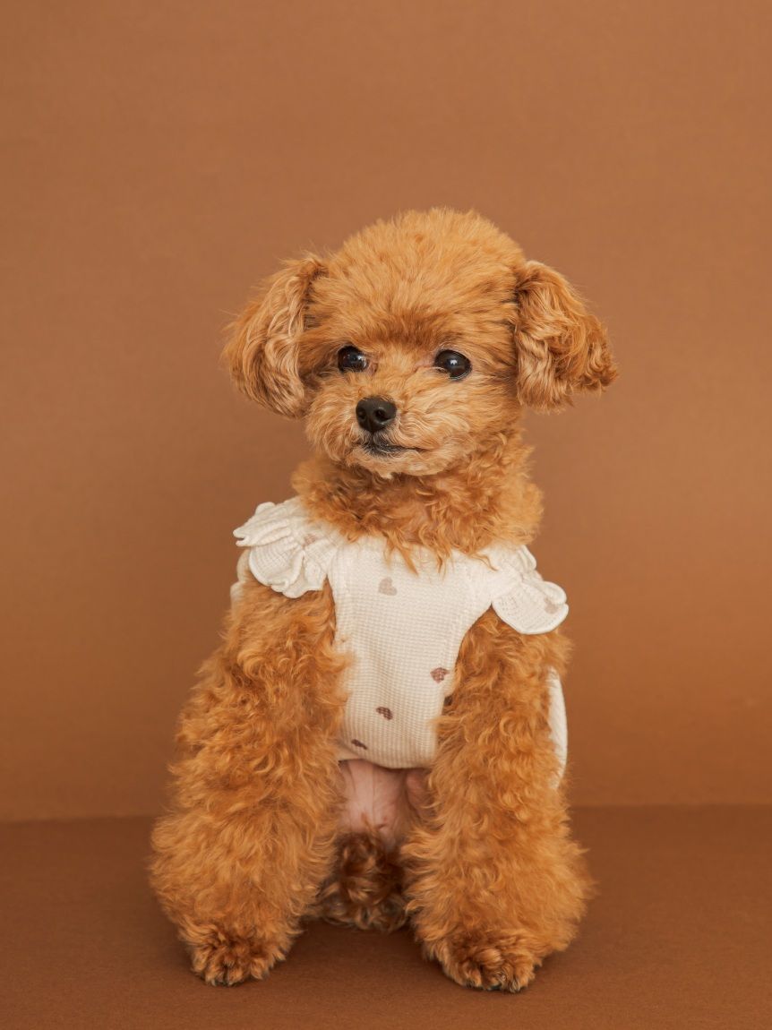 CAT&DOG】ハート柄フリルワンピース(ウェア)｜ルームウェア・パジャマ