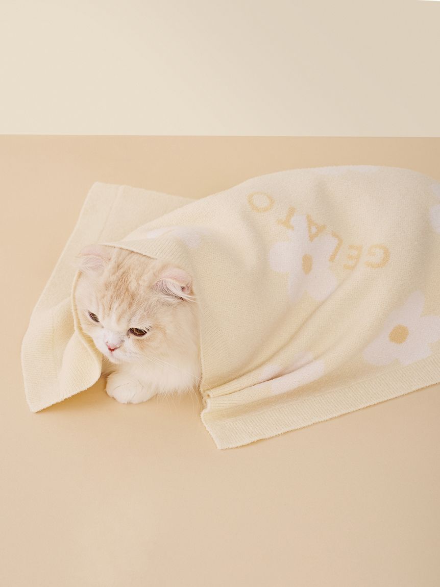 CAT&DOG】スムーズィーフラワージャガードブランケット(グッズ