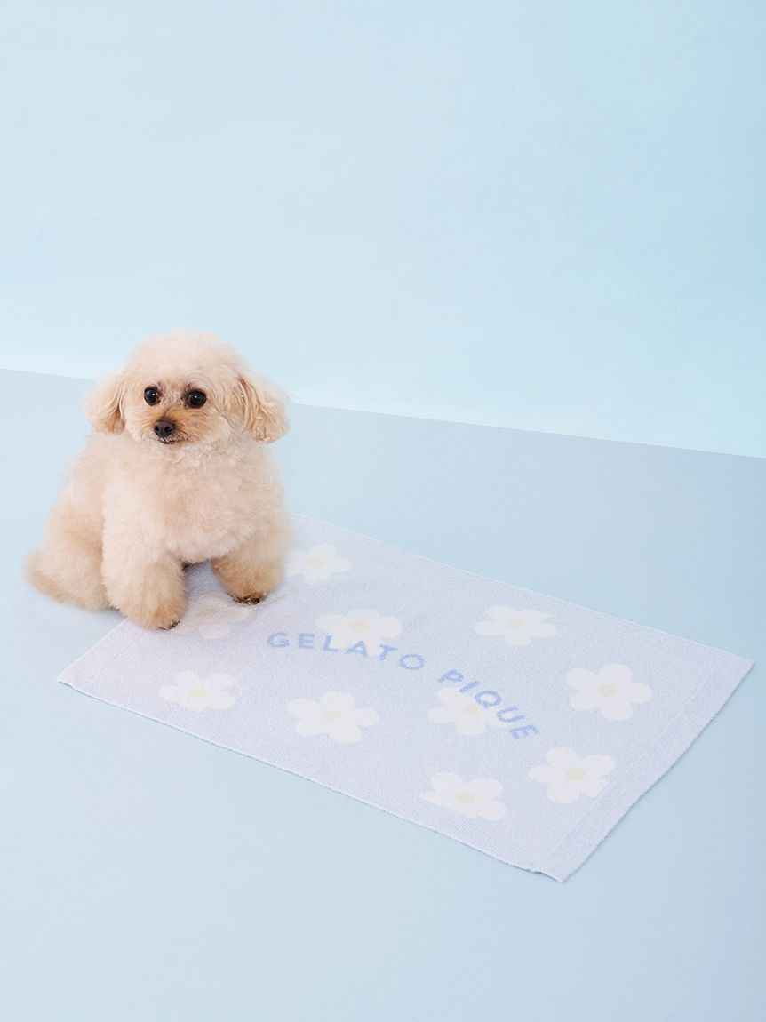 CAT&DOG】スムーズィーフラワージャガードブランケット(グッズ