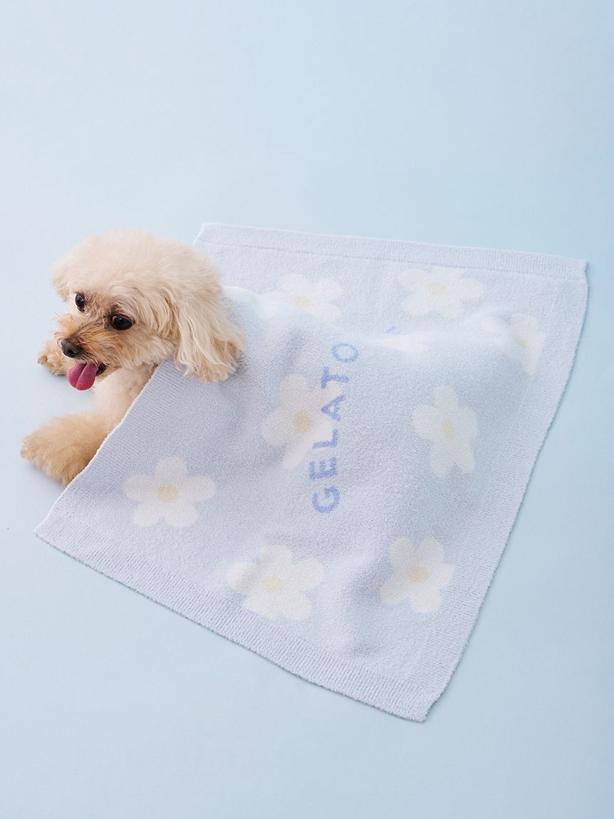 CAT&DOG】スムーズィーフラワージャガードブランケット(グッズ